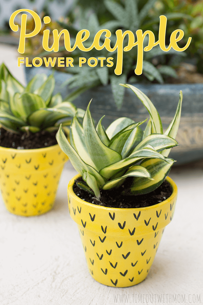 Pineapple-Flower-Pots-01